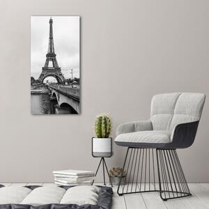Vertikální Foto obraz na plátně Eiffelová věž Paříž ocv-98585031
