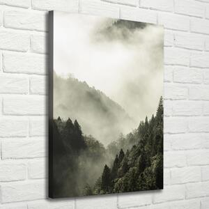 Vertikální Foto obraz na plátně Mlha nad lesem ocv-98626353