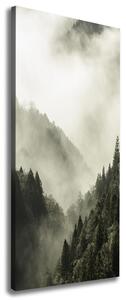 Vertikální Foto obraz na plátně Mlha nad lesem ocv-98626353