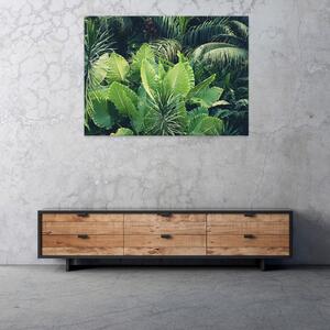 Postershop Obraz na plátně: Nature leaves jungle green - 100x75 cm