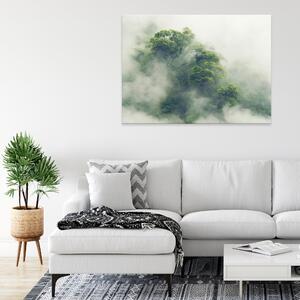 Postershop Obraz na plátně: Landscape nature forest fog - 100x75 cm