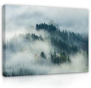 Postershop Obraz na plátně: Nature forest landscape fog - 100x75 cm