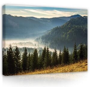 Postershop Obraz na plátně: Landscape nature mountains forest - 100x75 cm