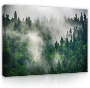 Postershop Obraz na plátně: Nature forest landscape fog - 100x75 cm