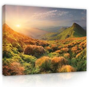 Postershop Obraz na plátně: Landscape nature mountains grass - 100x75 cm