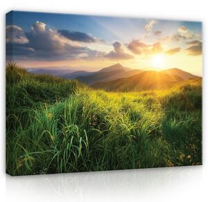 Postershop Obraz na plátně: Landscape nature meadow mountains - 100x75 cm
