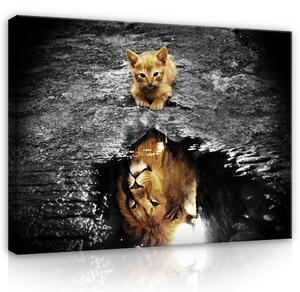 Postershop Obraz na plátně: Cat and Lion - 80x60 cm