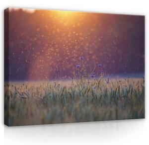 Postershop Obraz na plátně: Meadow - 100x75 cm