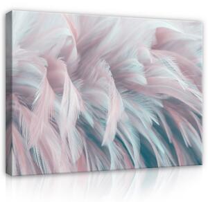 Postershop Obraz na plátně: Pastel Feathers - 100x75 cm