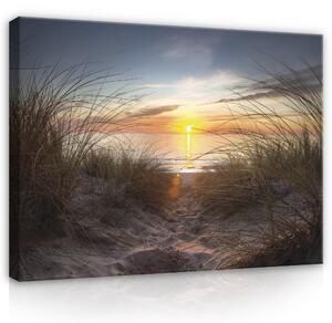 Postershop Obraz na plátně: Sunset on the beach (2) - 100x75 cm