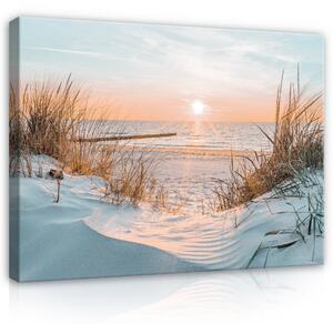 Postershop Obraz na plátně: Sunset on the beach - 80x60 cm