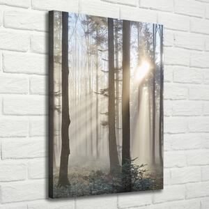 Vertikální Foto obraz canvas Mlha v lese ocv-98968412