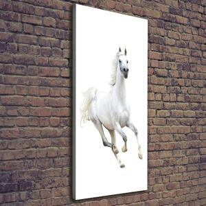 Vertikální Foto obraz na plátně Bílý kůň cval ocv-99028092
