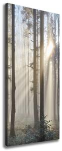 Vertikální Foto obraz canvas Mlha v lese ocv-98968412