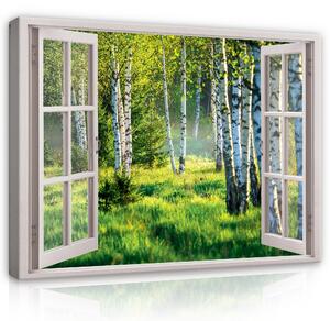 Postershop Obraz na plátně: 3D Effect Window View Birch Forest - 80x60 cm