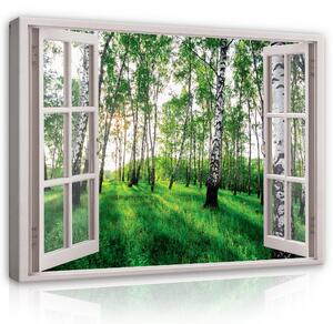 Postershop Obraz na plátně: 3D Effect Window Birch Forest View - 80x60 cm