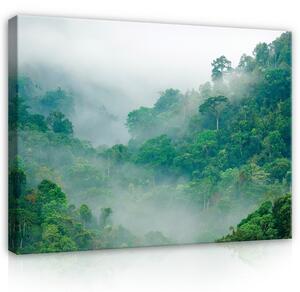 Postershop Obraz na plátně: Nature Forest in The Fog Green Valley - 100x75 cm