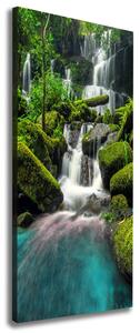 Vertikální Foto obraz na plátně Vodopád v džungli ocv-99201253