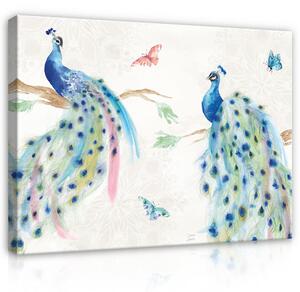 Postershop Obraz na plátně: Animals Birds Abstract Ornaments - 100x75 cm