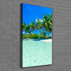 Vertikální Foto obraz na plátně Tropická pláž ocv-99365379