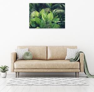 Postershop Obraz na plátně: Nature leaves jungle green - 80x60 cm