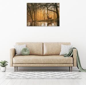 Postershop Obraz na plátně: Lanscape nature forest deer - 80x60 cm