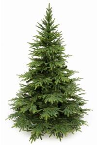 Vánoční stromeček Smrk kavkazský 3D+2D jehličí 100cm