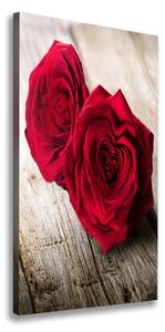 Vertikální Foto obraz na plátně Červené růže ocv-99658852