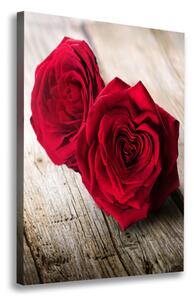 Vertikální Foto obraz na plátně Červené růže ocv-99658852