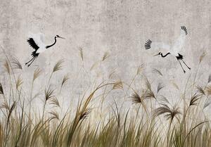 Postershop Fototapeta vliesová: Cranes over grass - 208x146 cm