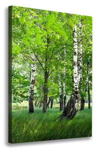 Vertikální Foto obraz canvas Břízový les ocv-99735261