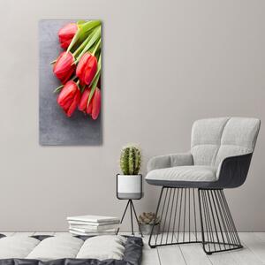 Vertikální Foto obraz na plátně Červené tulipány ocv-99719823