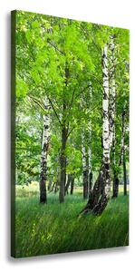 Vertikální Foto obraz canvas Břízový les ocv-99735261