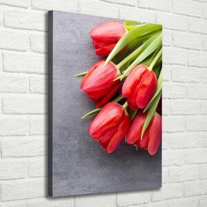 Vertikální Foto obraz na plátně Červené tulipány ocv-99719823