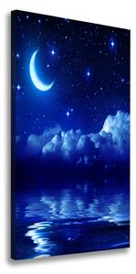 Vertikální Vertikální Foto obraz na plátně do obýváku Noční nebe ocv-99768132