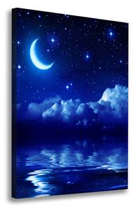 Vertikální Vertikální Foto obraz na plátně do obýváku Noční nebe ocv-99768132
