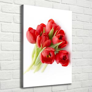 Vertikální Foto obraz na plátně Červené tulipány ocv-99817079