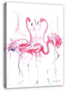 Postershop Obraz na plátně: For Children Animals Flamingos Birds - 100x75 cm