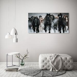 Moderní fotoobraz canvas na rámu Koně ve cvalu oc-100599120