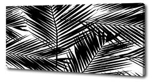 Foto obraz na plátně Listí palmy oc-101389703