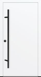 Vchodové dveře s ocelovým opláštěním FM Turen model DS20 blackline