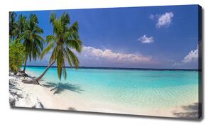 Foto obraz na plátně do obýváku Panorama pláže oc-102390473