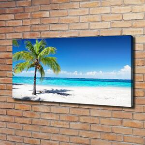 Foto obraz na plátně Tropická pláž oc-102463727