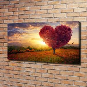 Foto obraz na plátně Strom pole srdce oc-104301472