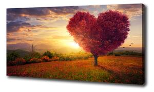 Foto obraz na plátně Strom pole srdce oc-104301472