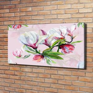 Foto obraz tištěný na plátně Květiny magnolie oc-104301807