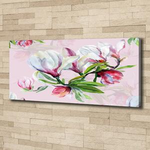 Foto obraz tištěný na plátně Květiny magnolie oc-104301807