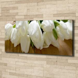 Foto obraz na plátně Bílé tulipány oc-104686883