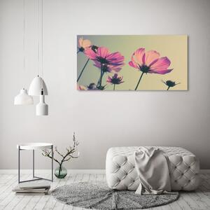 Foto obraz canvas Růžové květiny oc-104707608