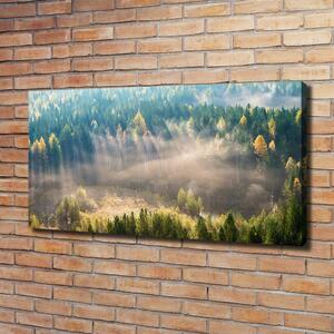 Foto obraz na plátně Mlha v lese oc-104886541